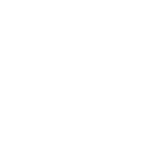 MVP & Product Strategy